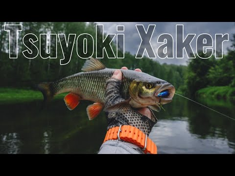 Видео: Голавль на Tsuyoki Xaker. Сплав по малой реке