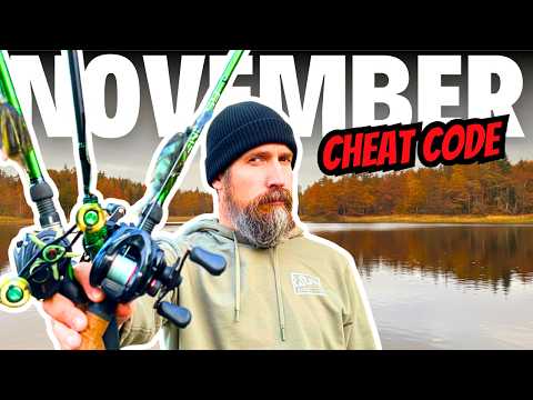 Видео: НОЯБРЬ Ловля окуня не обязательно должна быть сложной (7 проверенных приманок)