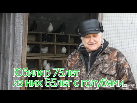 Видео: Голуби г.Богучара.  Юбиляр 75лет из них 65лет с голубями.