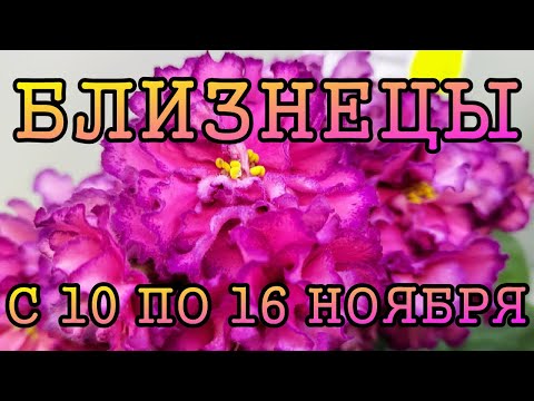 Видео: БЛИЗНЕЦЫ таро прогноз на неделю с 10 по 16 НОЯБРЯ 2025 года