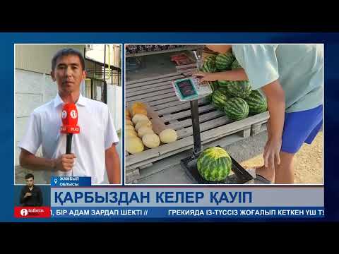 Видео: Қауын мен қарбыз дәл қазір жеуге жарамды ма? Олардың сапасын кім тексеріп жатыр?
