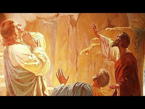 Видео: "Горькая Благодать".