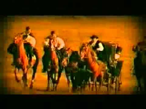 Видео: ТЕ -  Различен