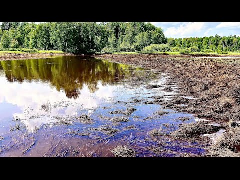 Видео: ШОК! Здесь рыбы больше чем воды. Ловля на неогруженную резину.