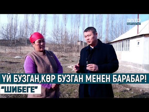 Видео: ҮЙ БУЗГАН КӨР БУЗГАН МЕНЕН БАРАБАР!