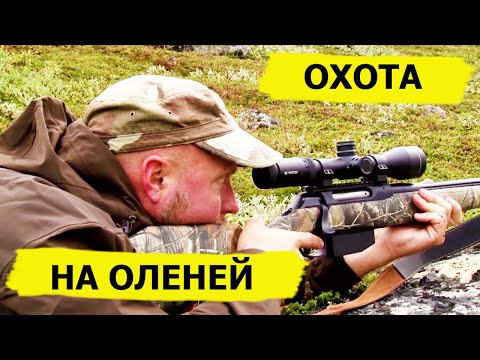 Видео: Охота на оленей (БЕЗ КУПЮР!) Охотничьи приключения в Норвегии/NORDIC WILD HUNTER (Охотник и рыболов)