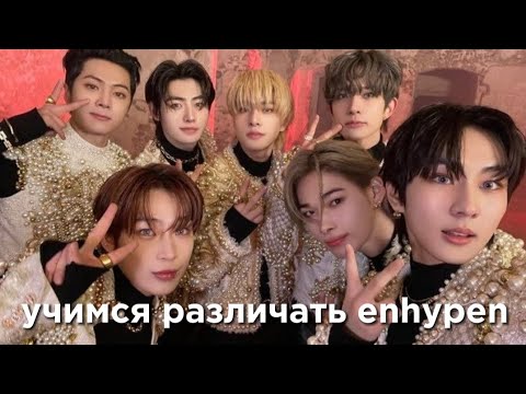 Видео: учим k-pop группу enhypen/учимся различать enhypen | vetmifi