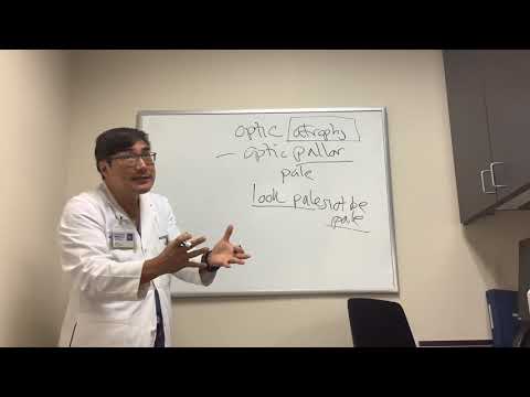 Видео: Атрофия зрительного нерва против бледности зрительного нерва