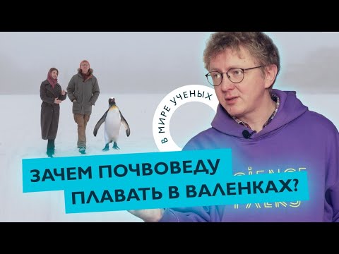 Видео: Арктика и Антарктика глазами почвоведа, вечная мерзлота и пингвины | Алексей Лупачев | В мире ученых