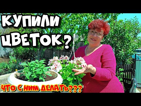 Видео: Сделай ЭТО после покупки цветка!