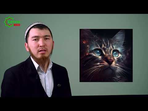 Видео: ҮЙДҮ ТАЗАЛООНУН ЭҢ ОҢОЙ ЖОЛУ