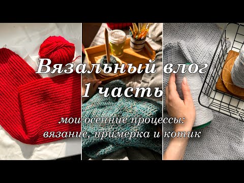 Видео: Мой ВЯЗАЛЬНЫЙ влог | про процессы | примерка | часть 1