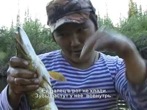 Видео: Эвенкийская община. Выпуск 90. Эфир от 07.11.11.