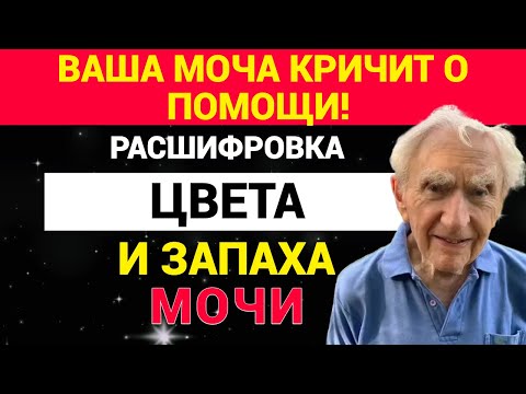 Видео: Ваша моча кричит о помощи! Расшифровка цвета и запаха.