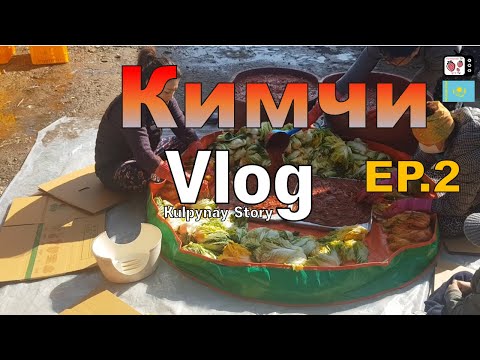 Видео: Кимчи жасауға апарар жол | Кореядағы жолда демалатын жер | Корея влог қазақша