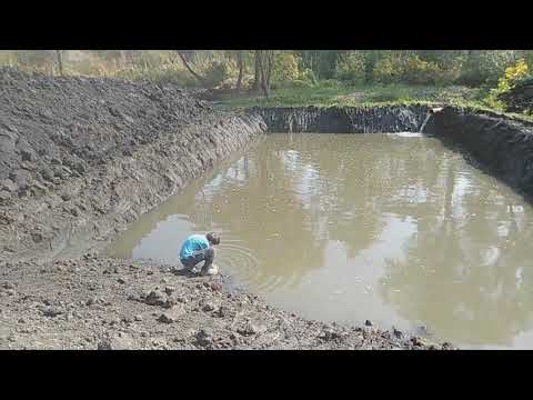 Видео: Копаем пруд мини экскаватором. Наполняем водой. #Пруд #DIY #Pond