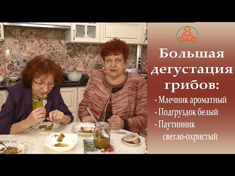 Видео: Большая дегустация грибов.  Грибная кухня 1 марта 2018 года.