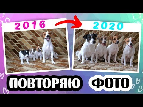 Видео: НАШИМ ЩЕНКАМ 4 ГОДА 🎉| ПОВТОРЯЮ СТАРЫЕ ЩЕНЯЧЬИ ФОТО