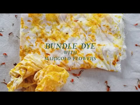 Видео: КАК СОЧЕТАТЬ КРАСИТЕЛЬ С ЦВЕТКАМИ БАРХАТЦЕВ | шаг за шагом в домашних условиях | НАТУРАЛЬНЫЙ КРАС...