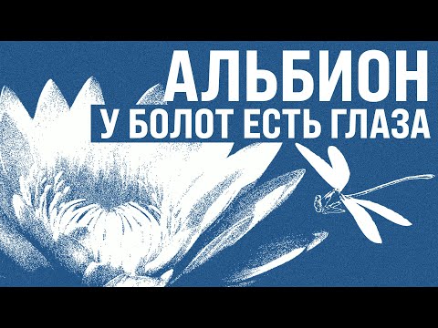Видео: Альбион | warhammerFB | terracotta