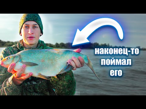 Видео: НЕОЖИДАЛ что КЛЮНЕТ ОН! РЫБАЛЛКА на КОЛЬЦО.