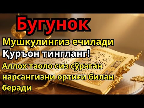 Видео: пул чексиз оқади !! Барча хаёт ташвишларини бир зумга унутиб Қуръон тингланг !