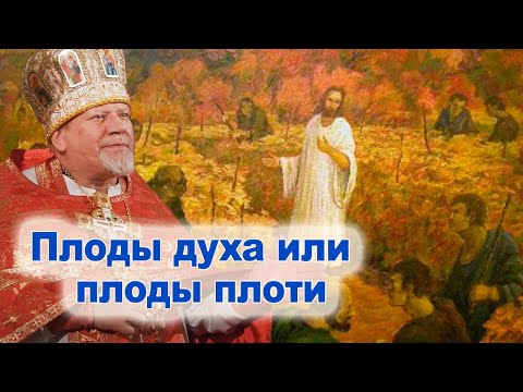 Видео: Плоды духа или плоды плоти.