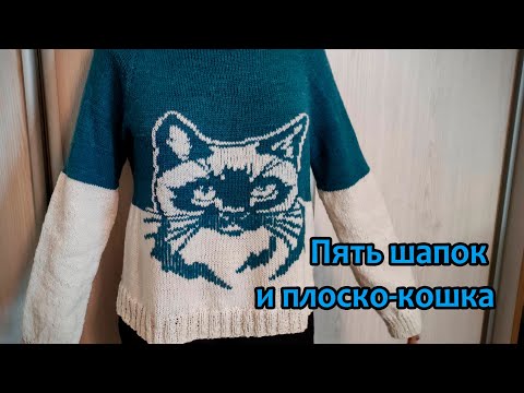 Видео: Пять шапок и плоско-кошка