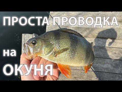 Видео: ПРОСТА проводка на окуня рибалка на силіконові приманки  ловля окуня на спінінг