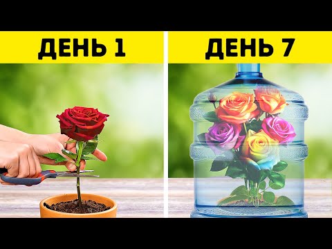 Видео: Цветы и другие растения 🌷🌹 🌱Отличные идеи для подготовки вашего сада к весне