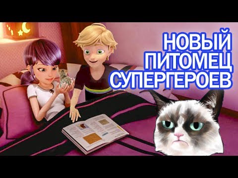 Видео: Леди Баг и Супер Кот завели домашнее животное вместе - Miraculous Ladybug Season 2 Speededit