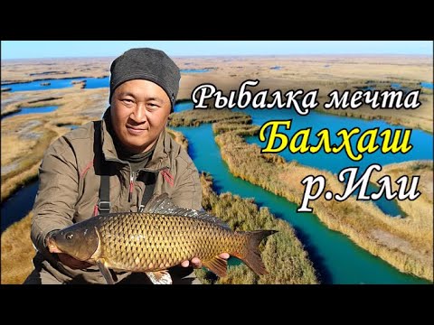 Видео: [2К] Рыбалка в дельте Или | Рыбалка в Казахстане | Балхаш | р.Или | Рыбалка2021