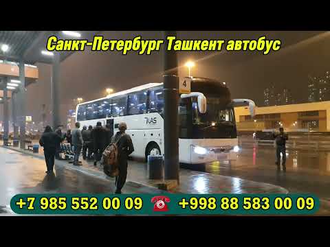 Видео: Санкт-петербург-ташкент автобус #санктпетербург #ташкент #автобус 