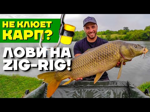 Видео: Ловля КАРПА и АМУРА на ZIG-RIG! Зиг Риг - лучшая СНАСТЬ для ловли КАРПА? Карпфишинг 2021