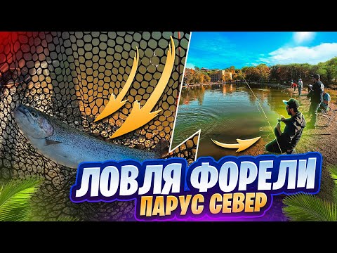 Видео: Ловля форели на платном водоеме! I Парус Север I