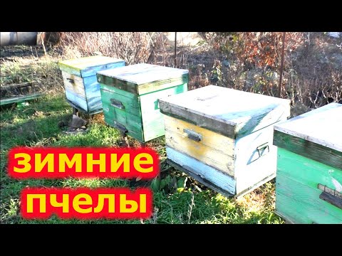 Видео: ЧТО НА САМОМ ДЕЛЕ ПРОИСХОДИТ в ДЕКАБРЕ?
