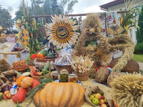 Видео: 20.09.2025. ЗАСЛАВЛЬ. ДАЖИНКИ