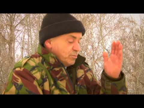 Видео: Один день из жизни. Директор Алтайского конного завода Евгений Куковицкий