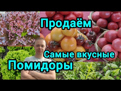Видео: Торговля на рынке 2 августа 