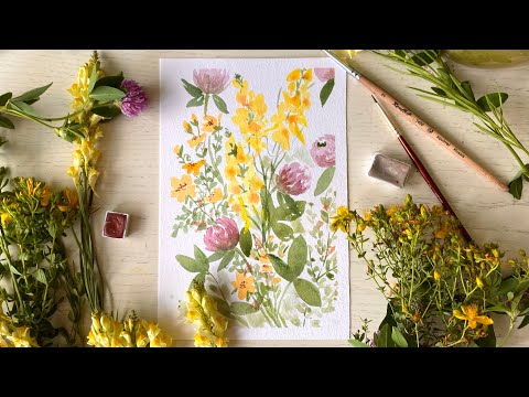 Видео: Льнянка, зверобой и клевер. Акварель для начинающих. Открытка с полевыми цветами