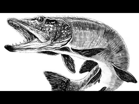 Видео: Щука. Часть 1. (Жизнь щуки) Л.П.Сабанеев.