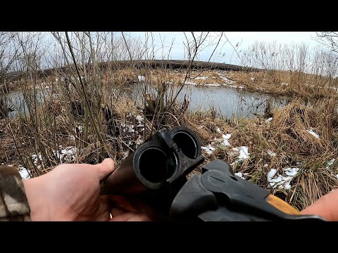 Видео: ОХОТА НА БОБРА на Новом месте сезон 2023
