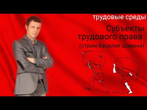 Видео: Субъекты трудового права (стрим Василия Шавина)