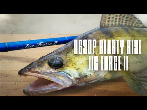 Видео: ЭТО ЛУЧШИЙ спиннинг для ДЖИГА. Обзор спиннинга Hearty Rise Jig Force II