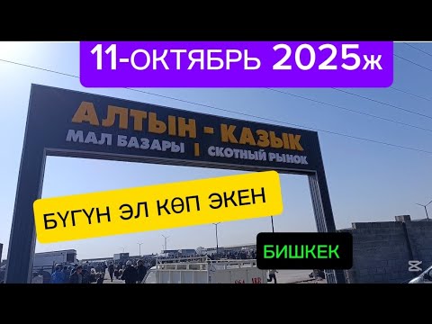 Видео: БИШКЕК АЛТЫН КАЗЫК МАЛ БАЗАРЫ 11-ОКТОЯБРЬ 2025ж Базар КЫЗУУ БОЛДУ БУГУН 