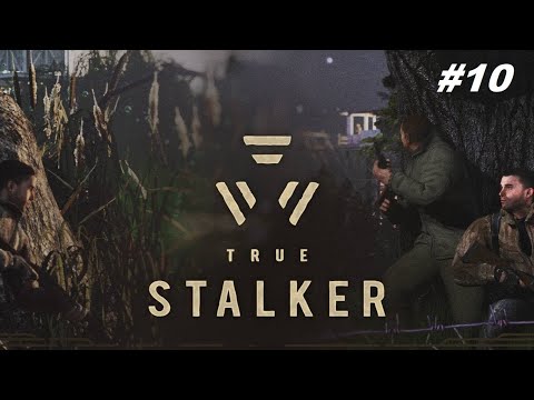 Видео: В ТИХОМ ОМУТЕ ЯНТАРЬ TRUE STALKER #10