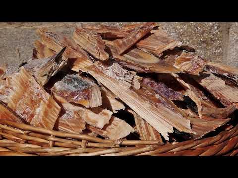 Видео: Борина / BORINA