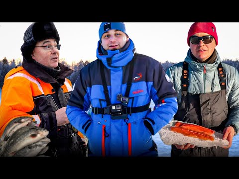 Видео: Storuman : Ловля форели, сига и гольца | Готовим свежую форель на берегу | Часть вторая