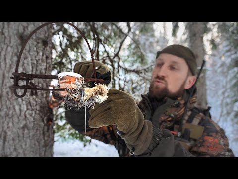 Видео: ВНЕЗАПНОЕ УСТРАНЕНИЕ РОСОМАХИ С ПУТИКА. АМУНИЦИЯ ДЛЯ ПОЗДНЕЙ ОСЕНИ.