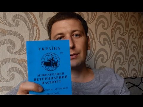 Видео: Ветеринарный паспорт